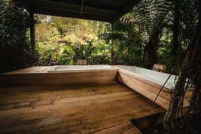 Franz Josef Treetops