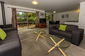 Franz Josef Treetops