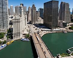 LondonHouse Chicago, Curio Collection by Hilton