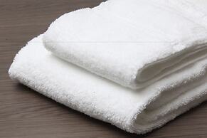 Richmond Hotel Premier Asakusa International