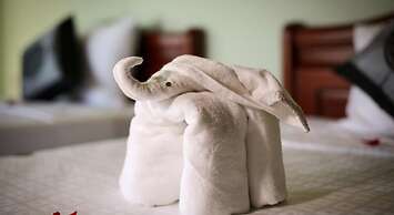 Rice Village Homestay