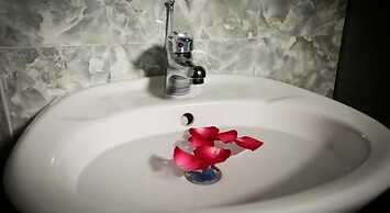 Rice Village Homestay