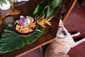 Vaayu Watermans Village