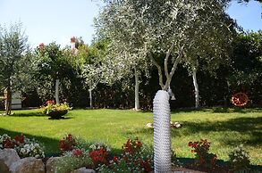 Apartments & Rooms Petra