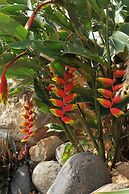 Mango Island Lodges