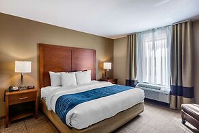 Comfort Inn South Chesterfield - Colonial Heights