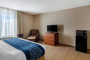 Comfort Inn South Chesterfield - Colonial Heights