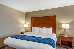 Comfort Inn South Chesterfield - Colonial Heights