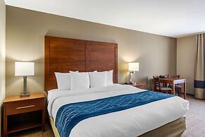 Comfort Inn South Chesterfield - Colonial Heights