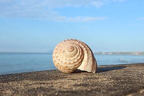 Quoc Dinh Guesthouse