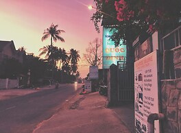 Quoc Dinh Guesthouse