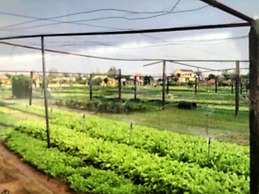 An Bang Garden Homestay