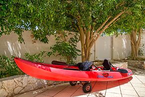 Villa Plumeria Flower
