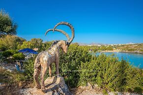 Villa Plumeria Flower