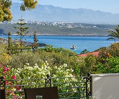 Villa Plumeria Flower