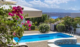 Villa Plumeria Flower