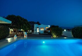 Villa Plumeria Flower