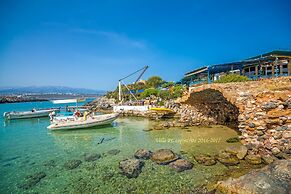 Villa Plumeria Flower