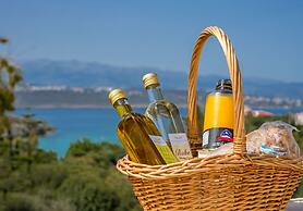 Villa Plumeria Flower