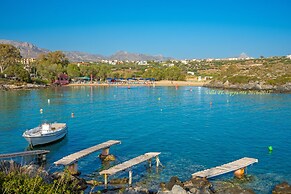 Villa Plumeria Flower