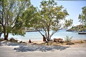 Villa Plumeria Flower