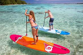 Villa Plumeria Flower