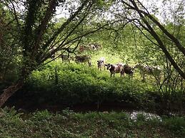 Manoir de La Rogerais & SPA