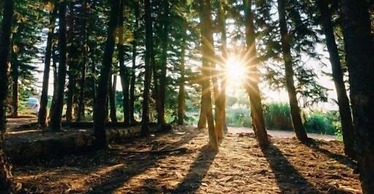 Backpacker 41 hostel - Taichung