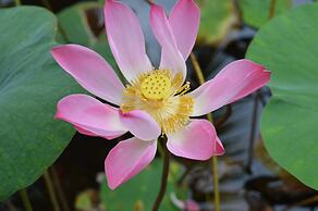 Palm Beach Bungalow Resort