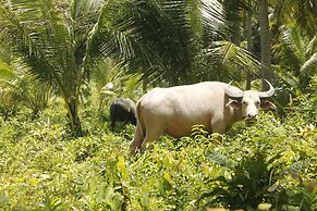 Palm Beach Bungalow Resort