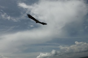 Palm Beach Bungalow Resort