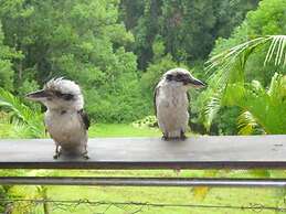 Teretre Cabins Nimbin