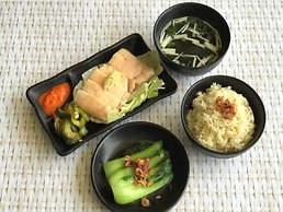 Aerotel Singapore - Transit Hotel in Terminal 1