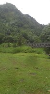 Natty Tropical Valley