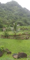 Natty Tropical Valley