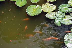 Adventure Eco Villas