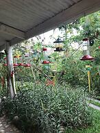 Adventure Eco Villas