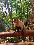 Prime Águas da Serra