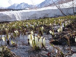 Hotel La Montagne Furuhata