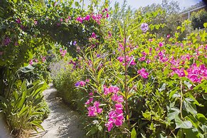 Spektr Boutique Hotel Yalıkavak