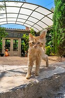 Cunda Battalos Küçük Otel