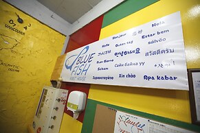 Bluefish Guesthouse - Hostel