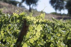 A Serenada Enoturismo