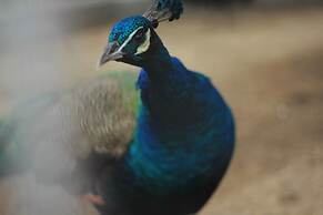 Phongpipat Lanta Mansion