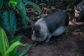 Lake Arenal Brewery & Resort