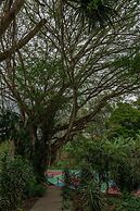 Lake Arenal Brewery & Resort