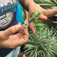 Lake Arenal Brewery & Resort