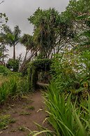 Lake Arenal Brewery & Resort