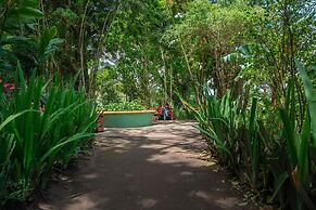 Lake Arenal Brewery & Resort