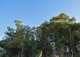 Hotel Real São Lourenço